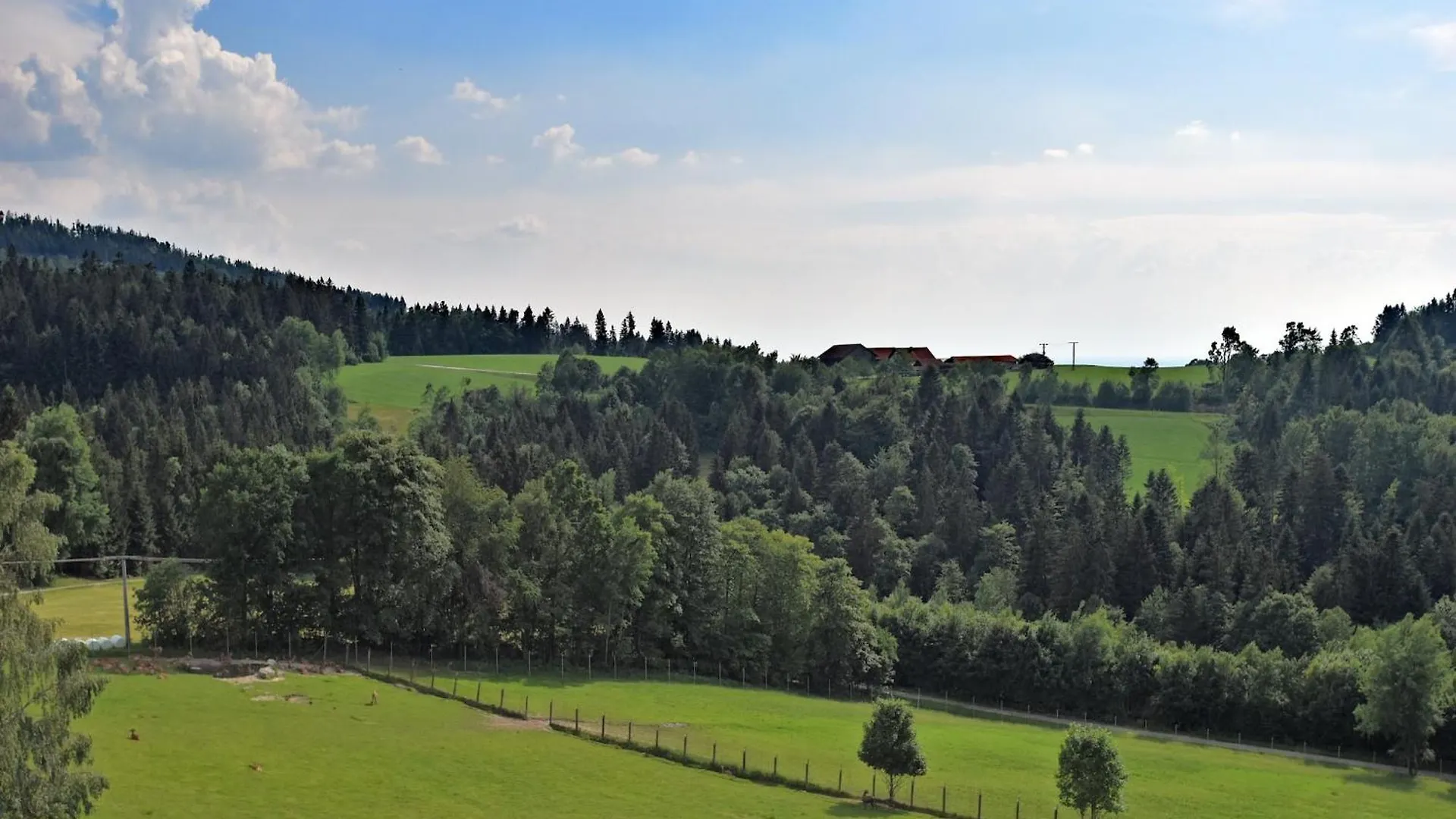 Apartment Holiday Home With Panoramic View And Every Convenience Spa Waldkirchen Germany