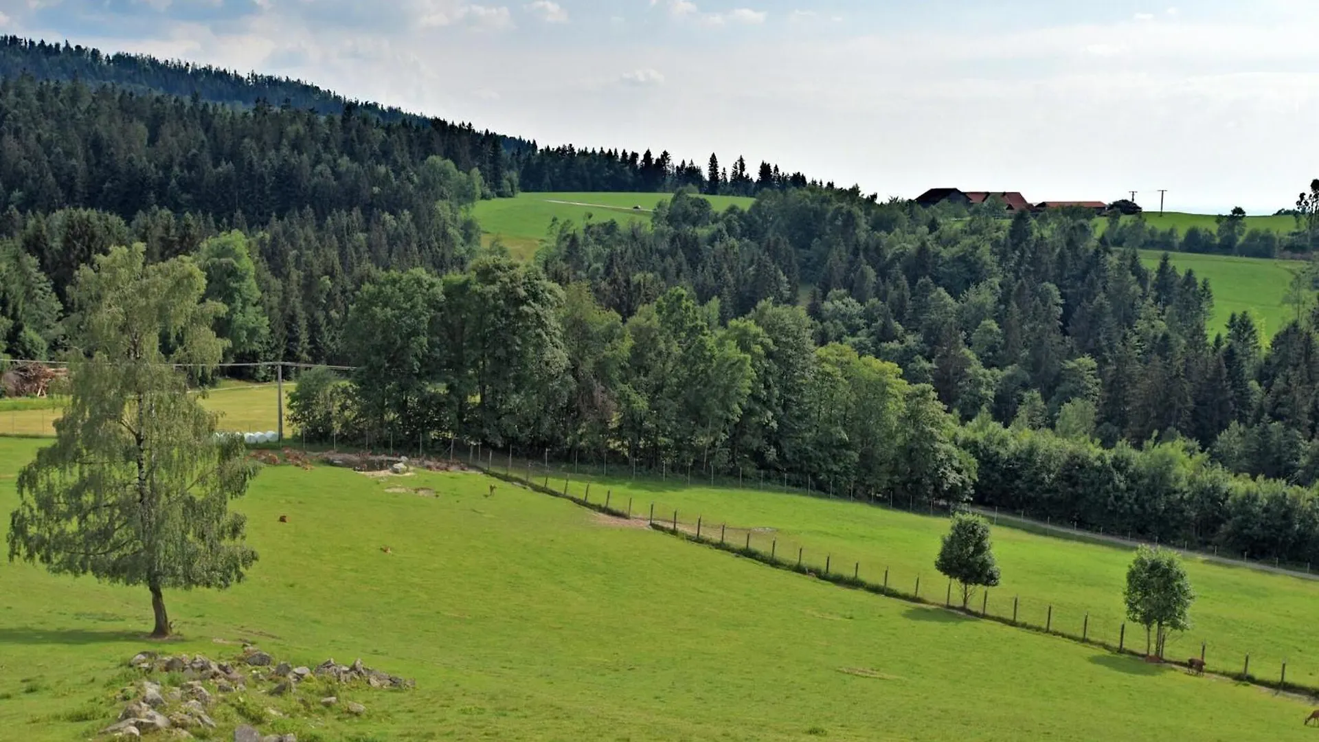 Apartment Holiday Home With Panoramic View And Every Convenience Spa Waldkirchen Deutschland