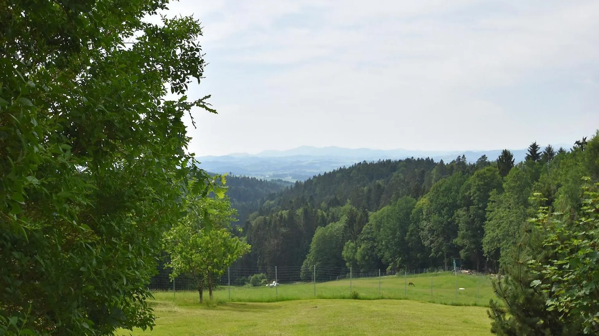 Holiday Home With Panoramic View And Every Convenience Spa Waldkirchen