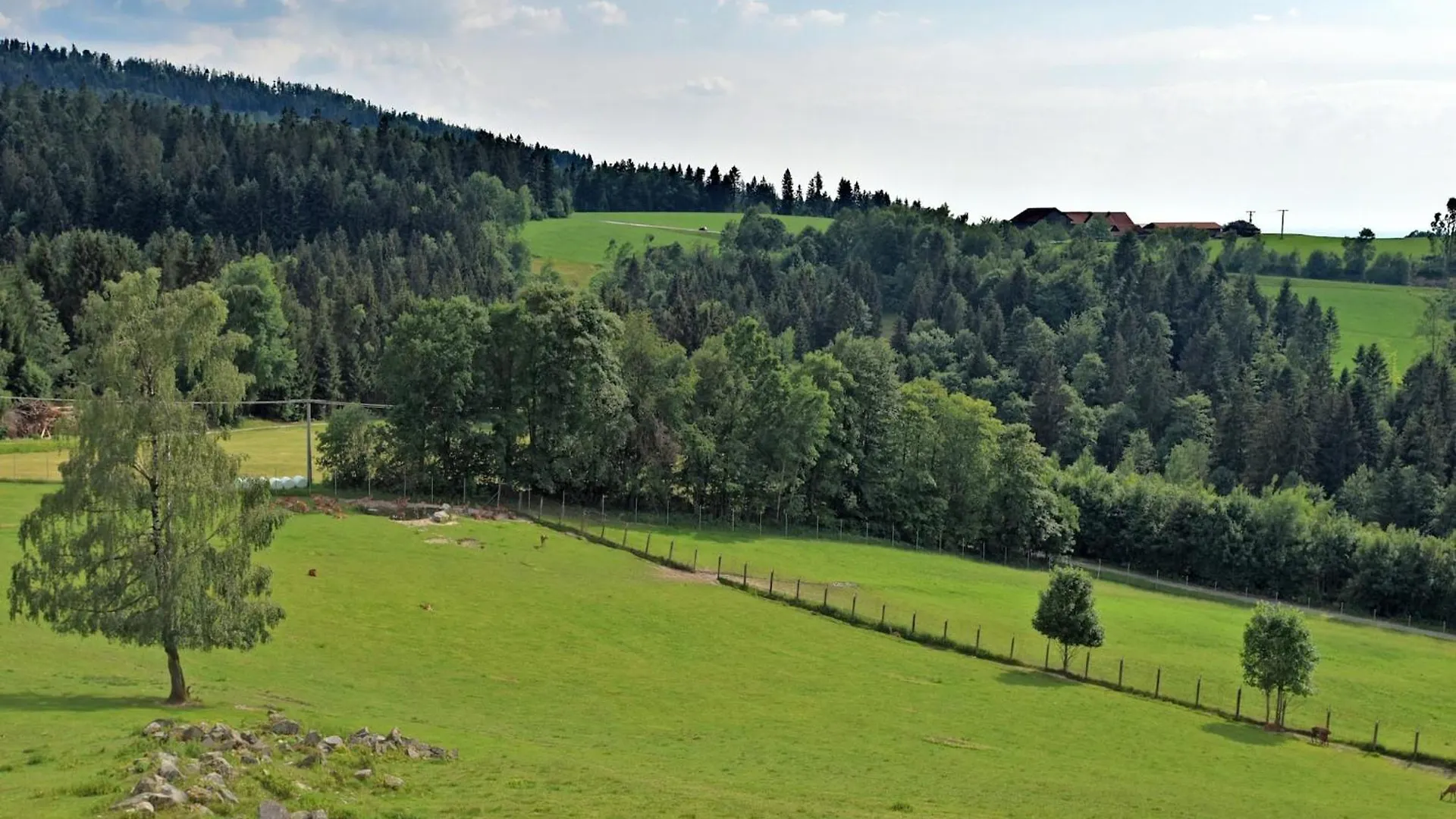 Holiday Home With Panoramic View And Every Convenience Spa Waldkirchen 0*,  Deutschland