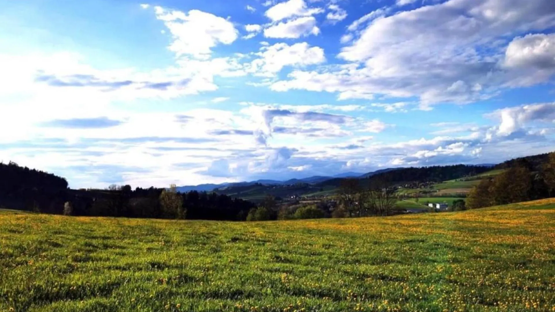 Holiday Home With Panoramic View And Every Convenience Spa Waldkirchen 0*,